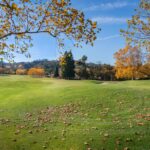 Photo recovery nutrition