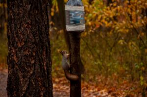 Photo hydration strategies