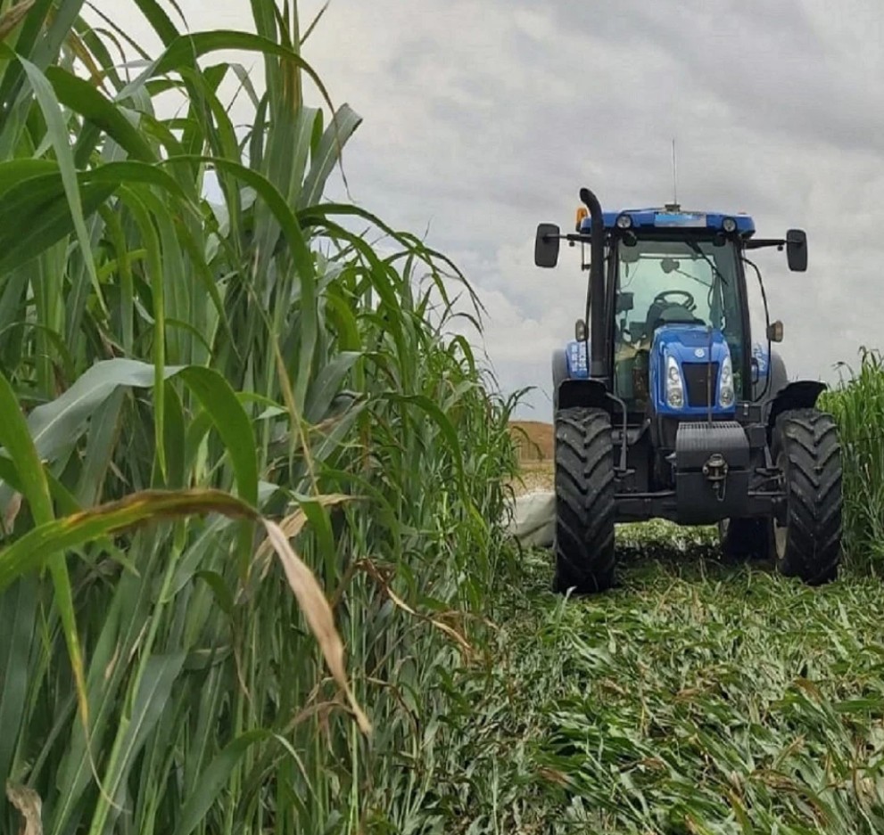 1773223818_69b13f8aae3f2_sorg