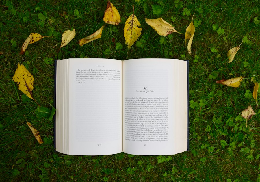 Photo literatura contemporană